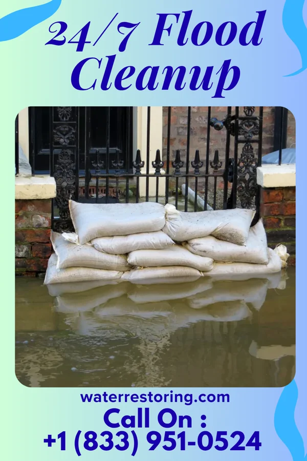 24/7 Flood Cleanup in Minturn, AR